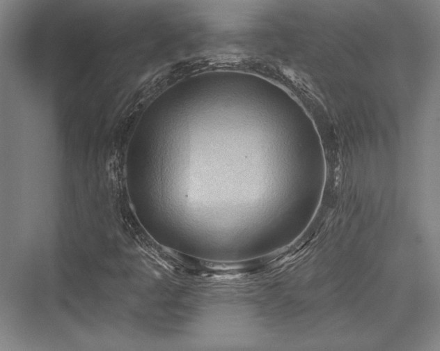X0000076220053200610051052