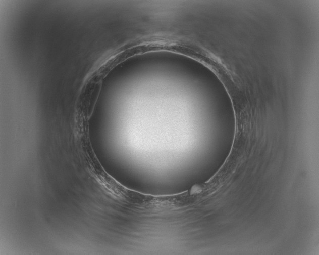X0000076220056200610051052