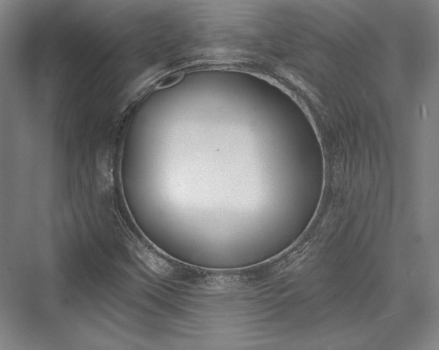 X0000076220059200610051052
