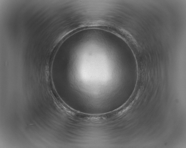 X0000076220065200610051052