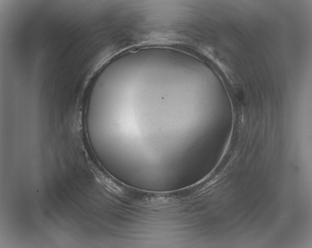 X0000076220067200610051052