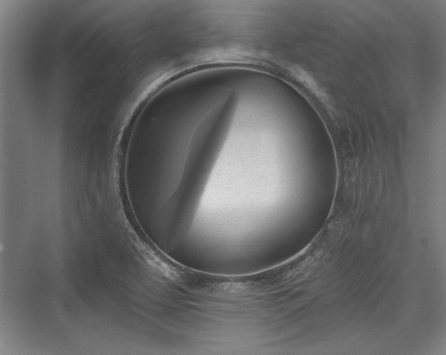 X0000076220071200610051052