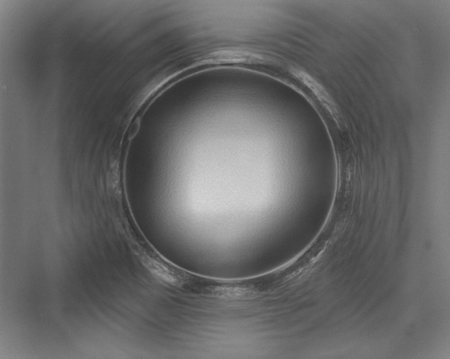 X0000076220073200610051052