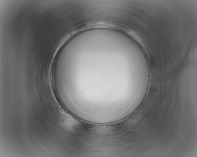 X0000076220082200610051052