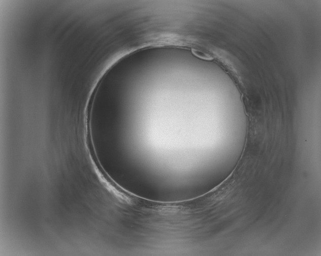 X0000076220087200610051052