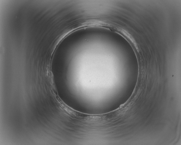 X0000076220089200610051052