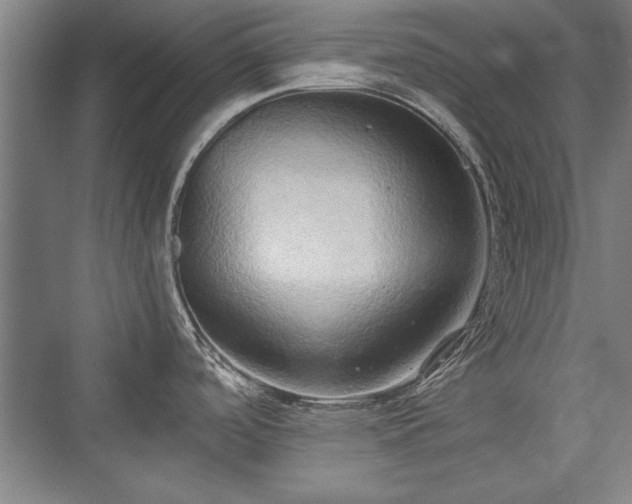 X0000076220096200610051052