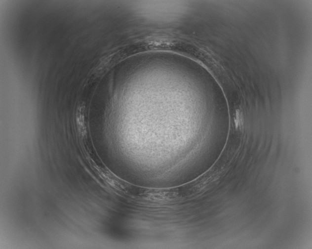 X0000076220100200610051053