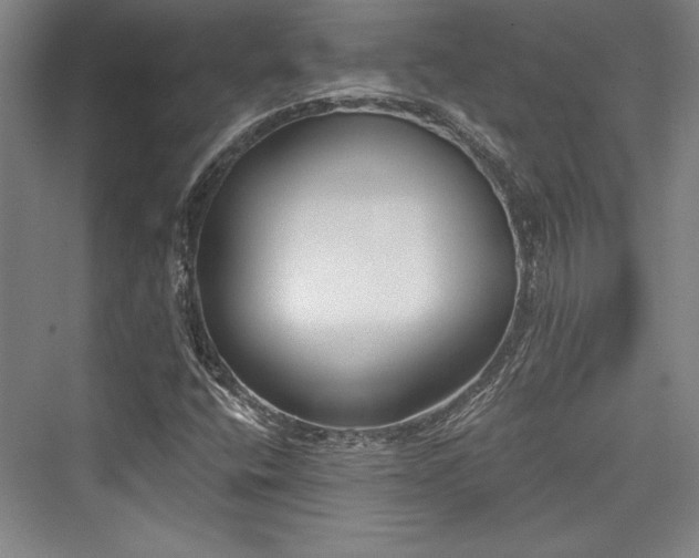 X0000076220104200610051053