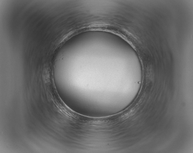 X0000076220105200610051053