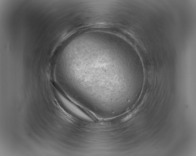 X0000076220106200610051053