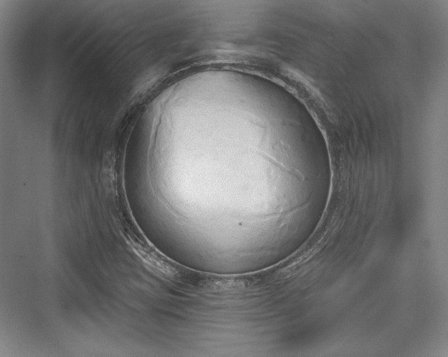 X0000076220107200610051053