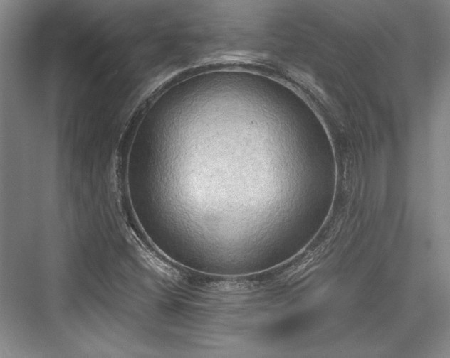 X0000076220108200610051053
