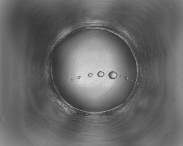 X0000076220109200610051053