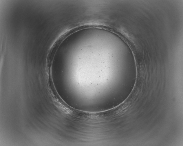 X0000076220112200610051053