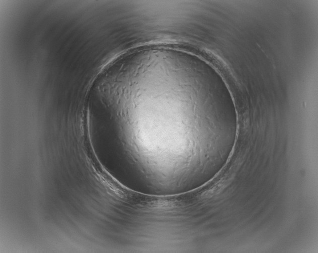 X0000076220113200610051053