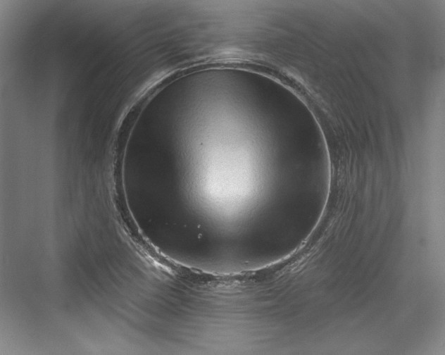 X0000076220114200610051053