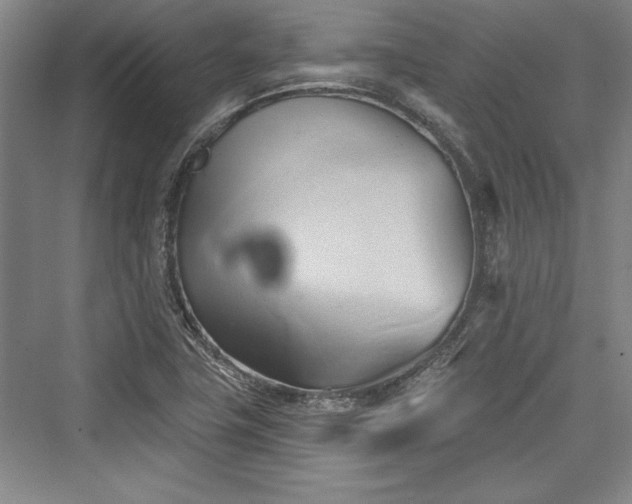 X0000076220115200610051053