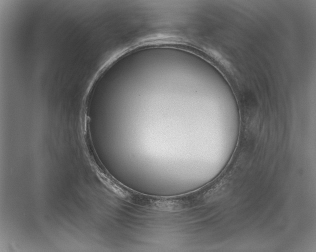 X0000076220117200610051053