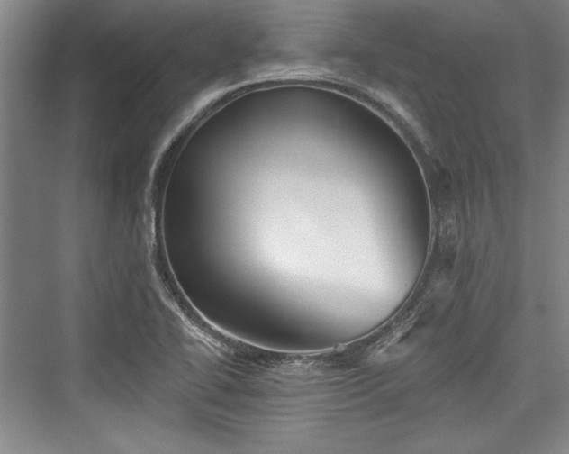 X0000076220118200610051053