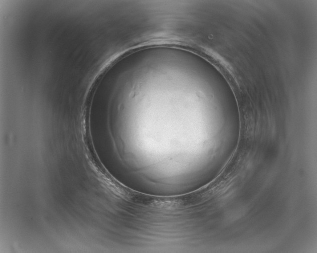X0000076220119200610051053