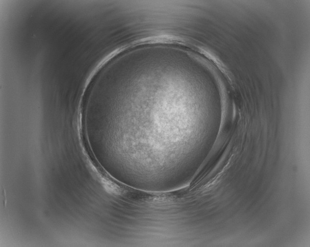 X0000076220122200610051053