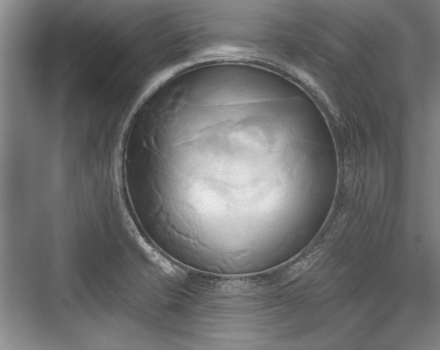 X0000076220125200610051053