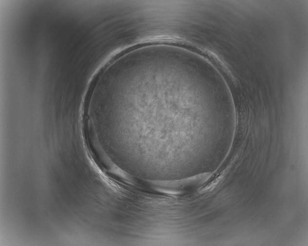 X0000076220126200610051053