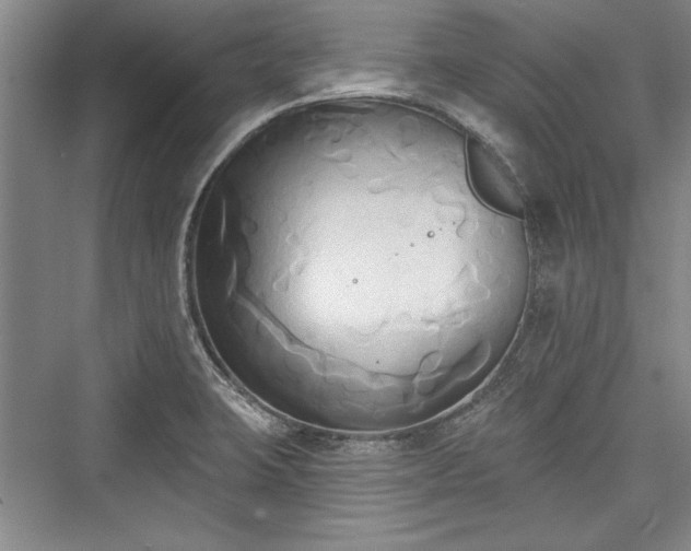 X0000076220127200610051053