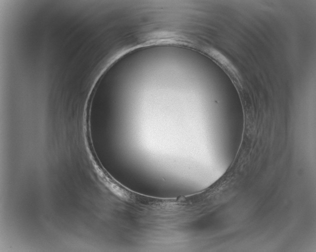 X0000076220135200610051053