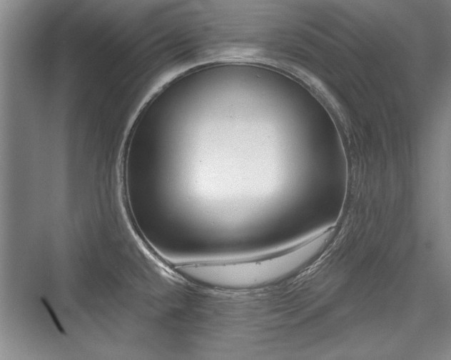X0000076220136200610051053
