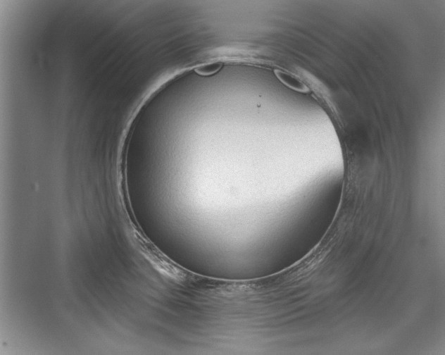 X0000076220139200610051053