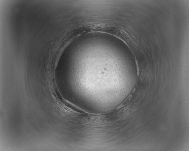 X0000076220145200610051054