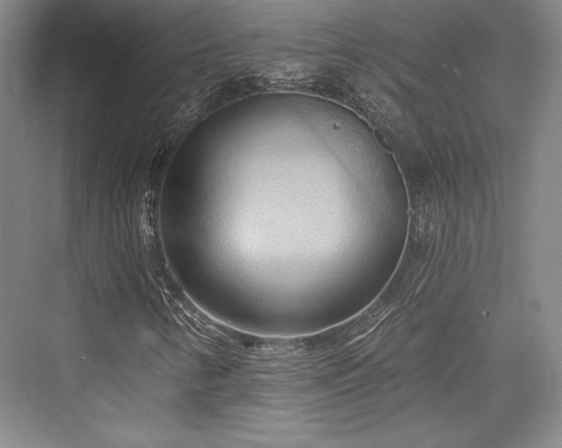 X0000076220146200610051054