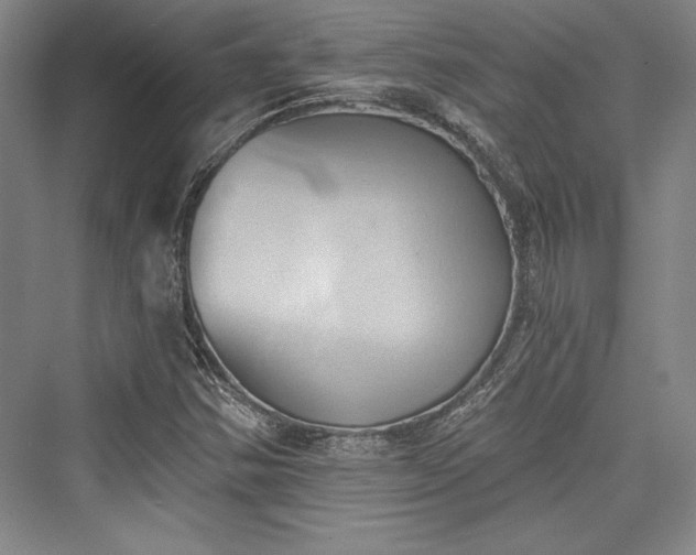 X0000076220154200610051054