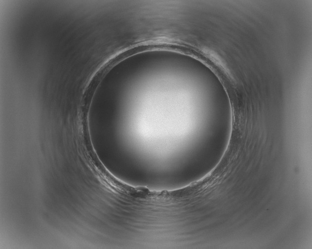 X0000076220156200610051054