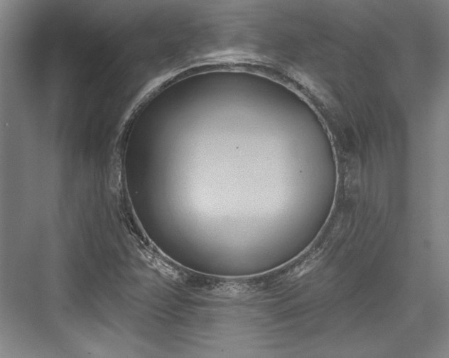 X0000076220158200610051054