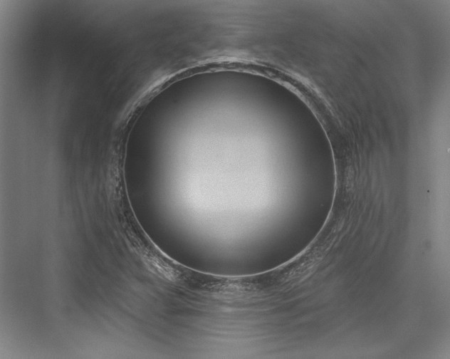 X0000076220159200610051054