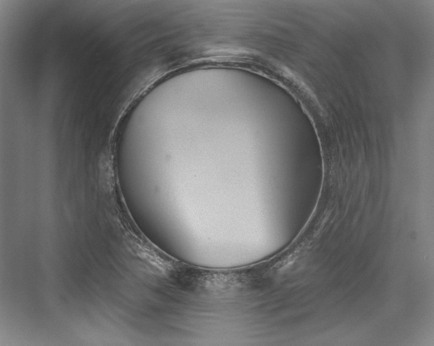 X0000076220162200610051054