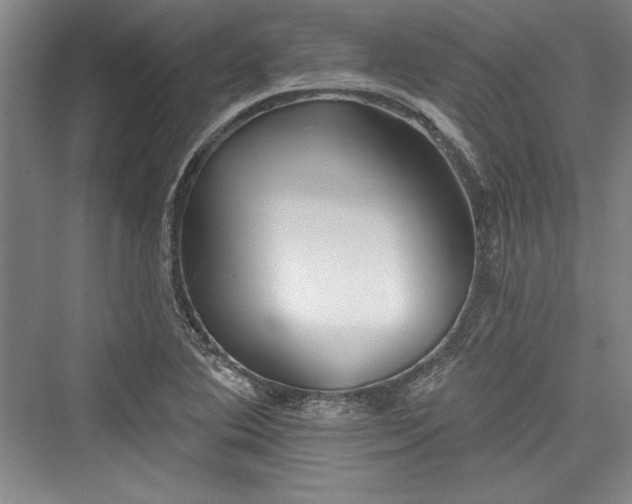 X0000076220164200610051054