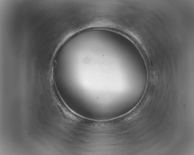 X0000076220166200610051054