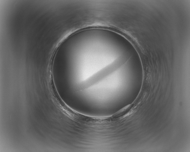 X0000076220167200610051054