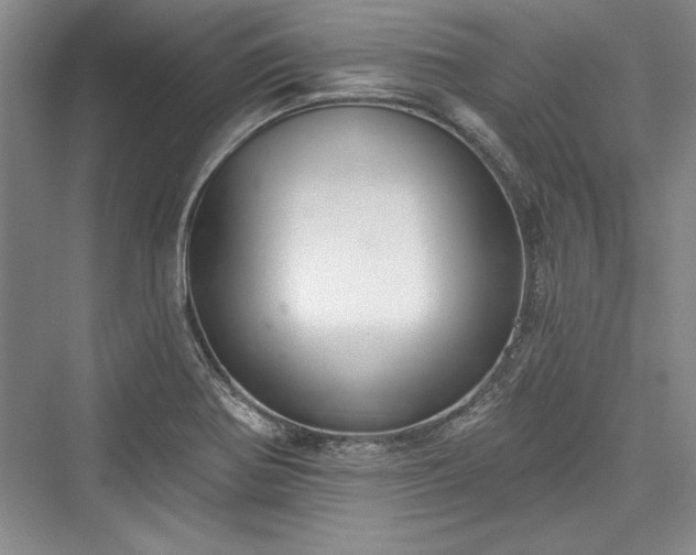 X0000076220170200610051054