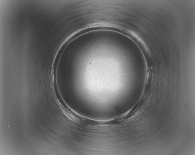 X0000076220172200610051054