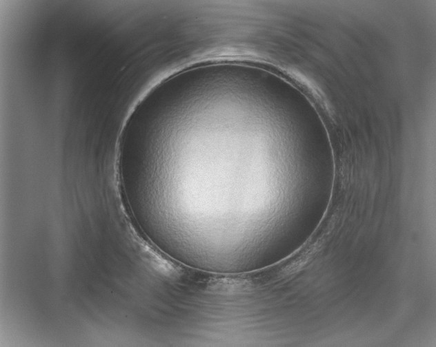X0000076220174200610051054