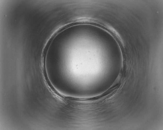 X0000076220176200610051054