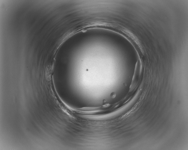X0000076220177200610051054
