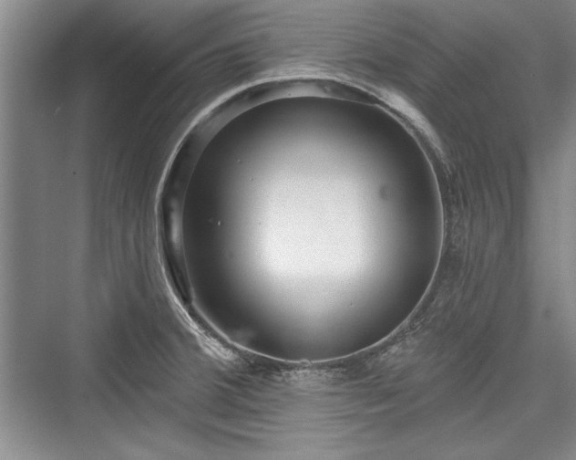 X0000076220180200610051054