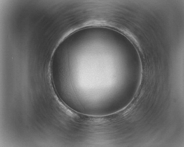 X0000076220182200610051053