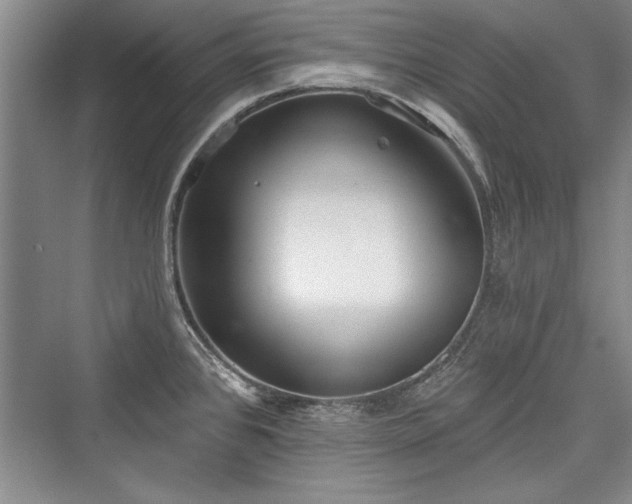 X0000076220184200610051053